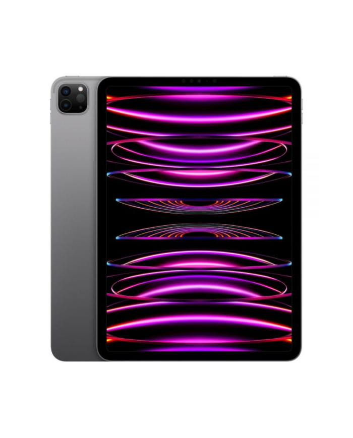 iPad Pro 11 128gb M2 2022 Space Grey Mnxd3ll/A
